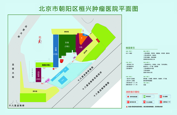 免费看日逼视频北京市朝阳区桓兴肿瘤医院平面图